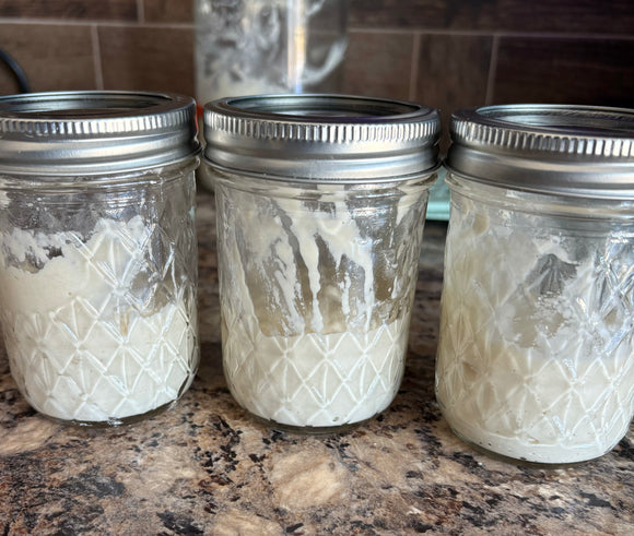 FRESH Sourdough Starter